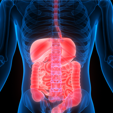 Reuniões Científicas do Núcleo de Doenças Inflamatórias Intestinais (DII) - São Paulo
