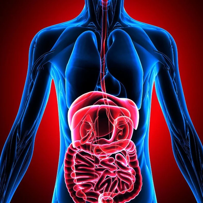 Reuniões Científicas do Núcleo de Doenças Inflamatórias Intestinais (DII) - Brasília