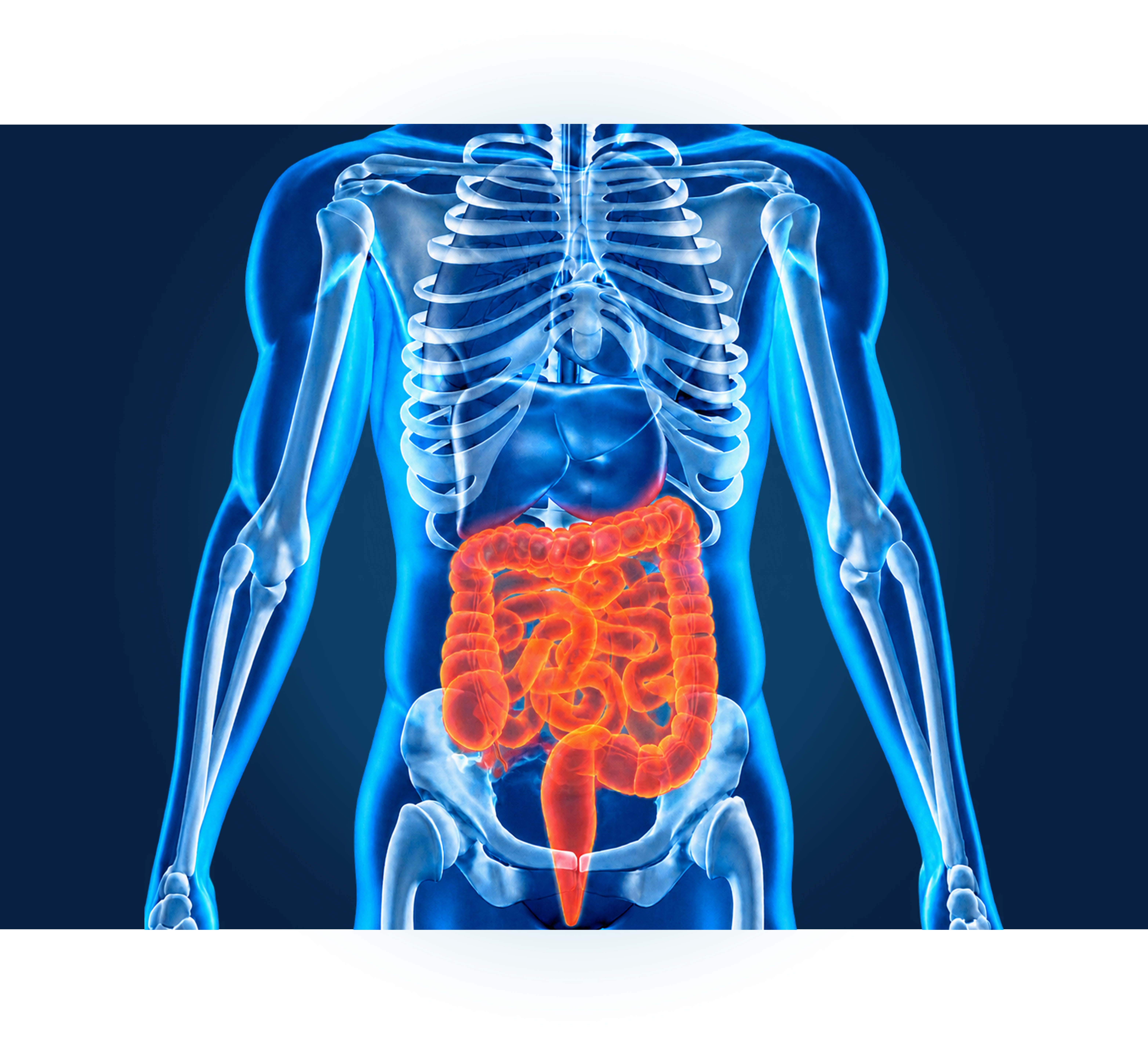 Simpósio de Doenças Inflamatórias Intestinais - 14ª Edição (07/11/26)